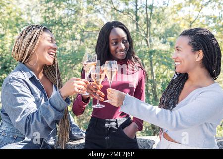 Felici amici multirazziali donne in abiti casual in piedi sulla terrazza e clinding bicchieri di champagne nella giornata di sole nel parco Foto Stock