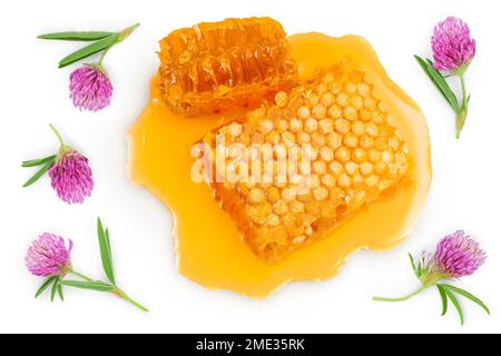 Nido d'ape e budino di miele isolati su fondo bianco con profondità di campo completa. Vista dall'alto. Giacitura piatta Foto Stock