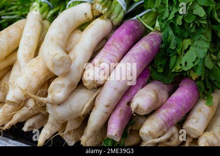 Rafano bianco esposto per la vendita al gregrocery Foto Stock