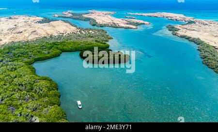 Arabia Saudita, Provincia di Jazan, veduta aerea della foresta di mangrovie nell'arcipelago delle Isole Farasan Foto Stock