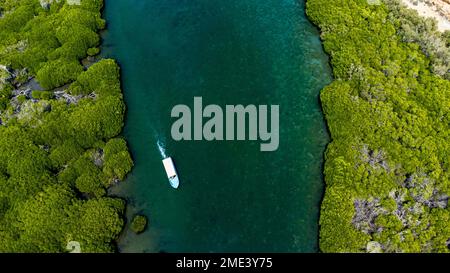 Arabia Saudita, Provincia di Jazan, veduta aerea della barca che naviga attraverso la foresta di mangrovie nell'arcipelago delle Isole Farasan Foto Stock