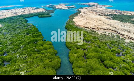 Arabia Saudita, Provincia di Jazan, veduta aerea della foresta di mangrovie nell'arcipelago delle Isole Farasan Foto Stock