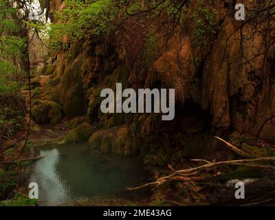 gorman cade nel colorado bend state park texas Foto Stock