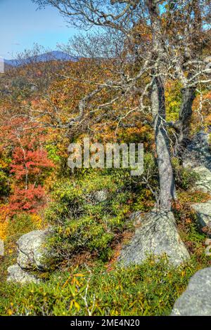 Autunno lungo il Raven Rock si affaccia sulla Blue Ridge Parkway vicino a Blowing Rock, North Carolina. Foto Stock
