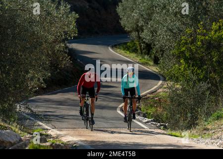 Ciclisti maturi che indossano caschi in bicicletta su una strada tortuosa Foto Stock