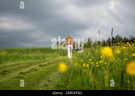 Uomo anziano che cammina sulla corsia di campagna sotto il cielo Foto Stock