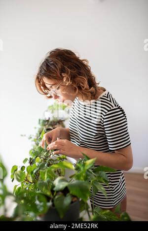 Donna che si prende cura delle piante a casa Foto Stock