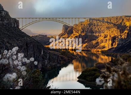 Ponte Perrine a Twin Falls. L'Idaho ha una natura mozzafiato come lo Snake River Canyon. L'ora d'oro e i fiori bianchi si aggiungono a questo paesaggio. Foto Stock