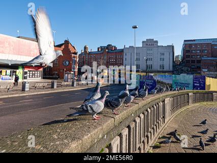 Stockport Plaza cinema e teatro. Art Deco restaurato e riaperto. Stockport centro città articolo di viaggio. Stockport era una volta sede dell'industria di fabbricazione del cappello di UKS ed ha un museo dedicato a hats.Picture accreditamento garyroberts/worldwidefeatures.com Foto Stock