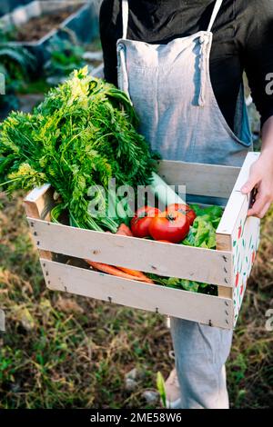 Giovane donna che tiene cassa di verdure fresche in giardino Foto Stock