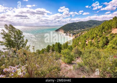 Stupende isolette Faraglioni di Puglia in estate baia mare Adriatico Baia delle Zagare. Mattinata Faraglioni e costa di Mergoli, Vieste Garg Foto Stock