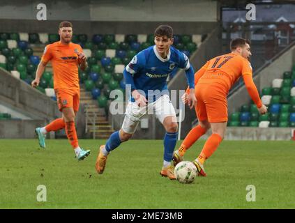 Windsor Park, Belfast, Irlanda del Nord, Regno Unito. 21 gennaio 2023. Danske Bank Premiership – Linfield 3 Ballymena United 0. Giocatore di calcio Linfield in azione Max Haygarth (21). Foto Stock