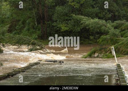 South Pine River alluvione a Bunya Road nel marzo 2021, alla periferia di Brisbane, Australia Foto Stock