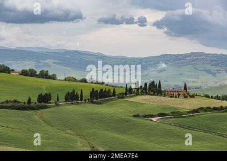 Paesaggio da Monticchiello Foto Stock