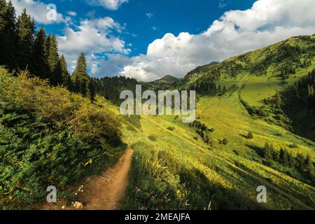 Sentiero estivo nella gola di Kimasar con vista sul monte Furmanov. Popolare percorso escursionistico fine settimana in Almaty montagne Foto Stock