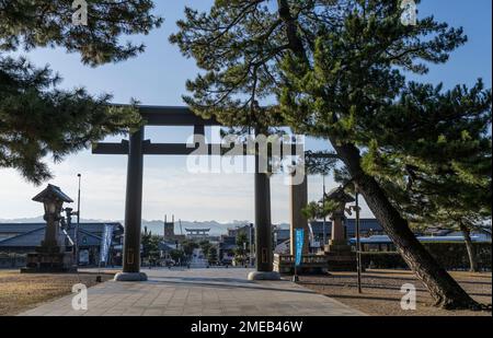 Il cancello principale a Izumotaisha, un importante santuario shintoista a Izumo, Prefettura di Shimane, Giappone. Foto Stock