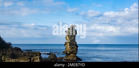 La costa del Mare del Giappone nella prefettura di Shimane, Giappone, vista da un treno espresso JR West Super OKI sulla linea principale di Sanin. Foto Stock