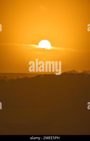 Uno scatto verticale di un calmo tramonto giallo sulla silhouette di una foresta Foto Stock