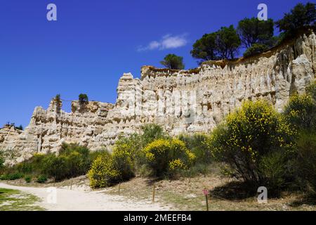 Orgues de l'ille sur tet parco naturale francese arenaria geologica formazione di montagna in pietra in francia Foto Stock