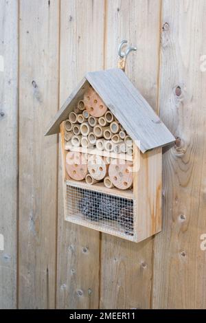 casa di insetto ricovero in giardino, su un vecchio muro di legno Foto Stock