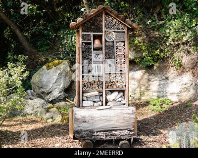 Insetto in legno albergo legno rifugio cabina per insetti selvatici nella riserva naturale della foresta rifugio Foto Stock