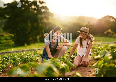 Come madre, come figlia. una giovane donna attraente e sua figlia che lavorano i campi nella loro fattoria di famiglia. Foto Stock