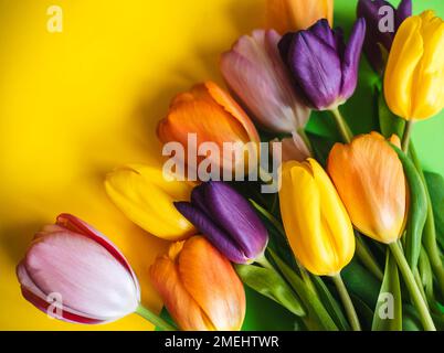 tulipani bello sfondo multicolore. la vista dall'alto. Foto Stock