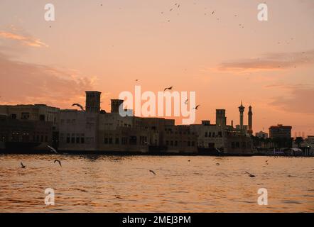 Vista del torrente di Dubai con molti gabbiani e al tramonto Foto Stock