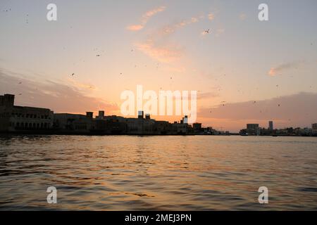 Vista del torrente di Dubai con molti gabbiani e al tramonto Foto Stock