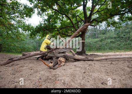 Il bambino costruisce capanna e fuoco nella foresta. Foto Stock