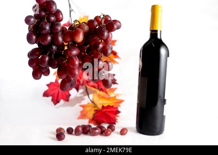 Uve rosse a grappolo appese e bottiglia di vino su fondo bianco. Foto Stock