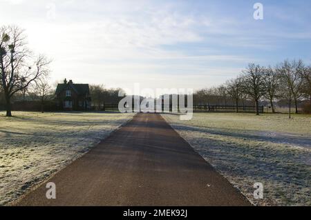 Windsor Great Park e la lunga passeggiata - una mattina di gennaio Foto Stock