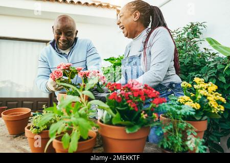 Donne multirazziali preparazione fiori piante all'interno casa giardino all'aperto - Focus sulla faccia africana donna Foto Stock