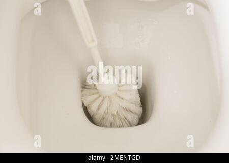 water bianco pulito meticolosamente strofinato da una mano con un guanto utilizzando una piccola spazzola Foto Stock