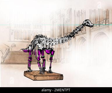 Diplodocus Foto Stock