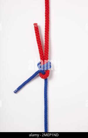 Doppia piegatura foglio, nodo legato con due corde in rosso e blu Foto Stock