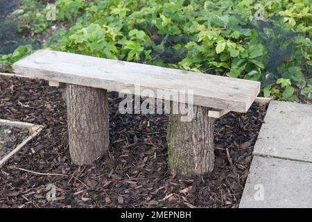 Panca da giardino costruita con due tronchi e una tavola di legno Foto Stock