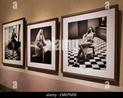 Mostra fotografica di Vincent Peeters al Palazzo reale di Milano, gennaio 2023 Foto Stock