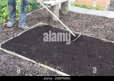 Suolo rastrellante in letto sollevato su allotment Foto Stock