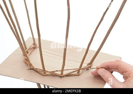 Cestino di frutta di Willow dopo che il tessitore ha viaggiato avanti e indietro tre volte attraverso i pali, finendo sul lato opposto a dove ha cominciato, primo piano Foto Stock