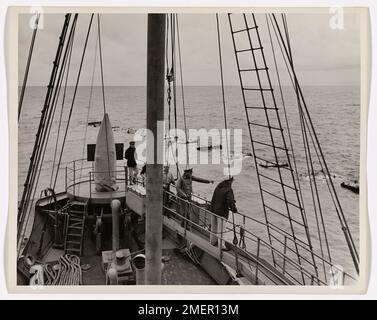 Fotografia di Whalers, 11th Distretto Navale. Questa fotografia è stata scattata da James C. Watson, ex fotografo di giornale di 15 anni di esperienza. Foto Stock