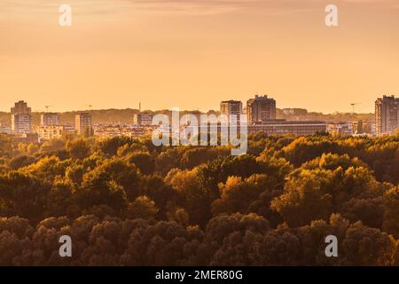 Nuovo skyline di Belgrado sulla foresta dell'Isola della Grande Guerra al tramonto Foto Stock