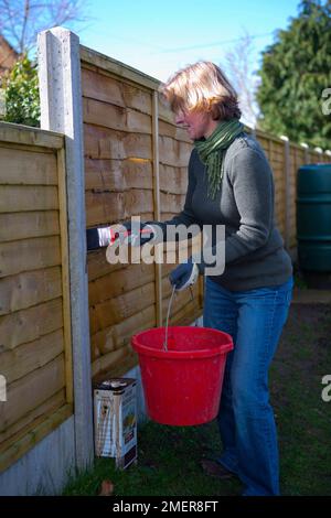 Donna pittura recinto giardino con conservante Foto Stock