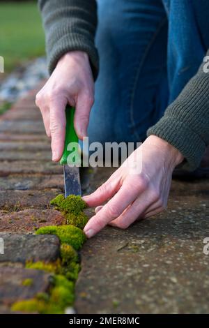 Rimozione di muschio da un tracciato Foto Stock