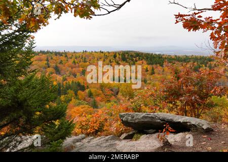 Vista autunnale nella riserva statale di Mount Greylock Foto Stock