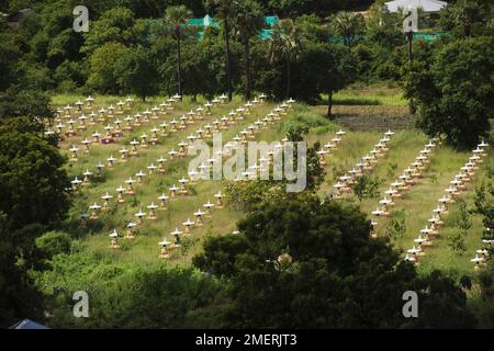 Myanmar, Sagaing, Monywa, Bodhi Tataung, file di Buddha in giardino Foto Stock