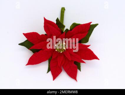 Decorazioni per torte poinsettia, commestibili Foto Stock