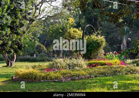 Gampaha, Sri Lanka, Provincia Occidentale, giardino botanico di Henarathgoda Foto Stock