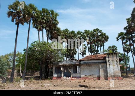 Casa abbandonata, Jaffna, Provincia del Nord Est, Pungudutivu, Sri Lanka Foto Stock