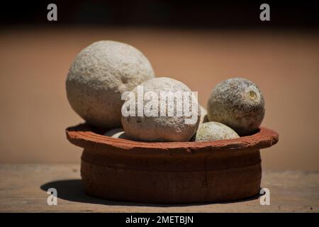 Hambantota, Provincia di Uva, Sri Lanka, mele di legno Foto Stock